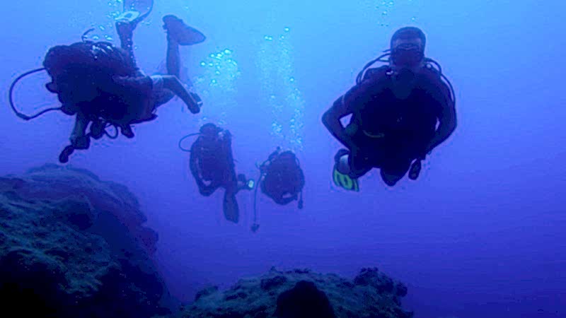 30-31 Temmuz 2016 Alanya Dalış Turu