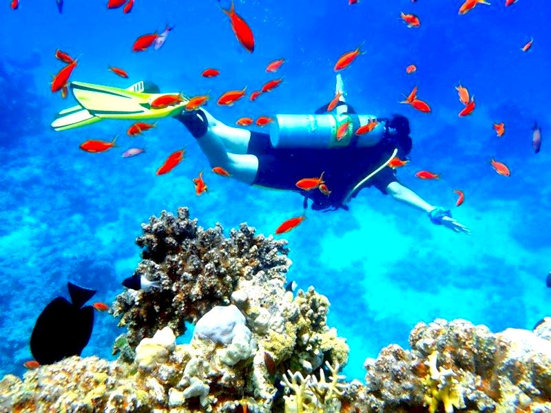 15-22 Temmuz 2018 Kızıldeniz Dalış Turu