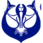 Sektörü / Firma Adı