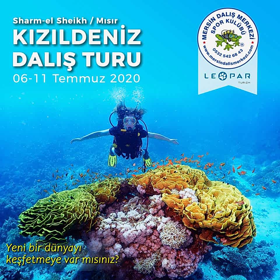 Kızıl Deniz Turu 2020
